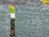 image of grave number 171842